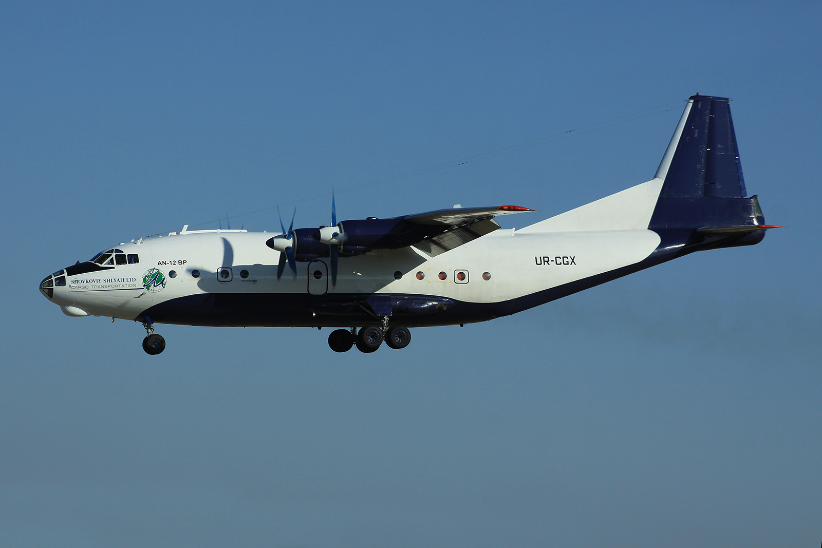 UR-CGX (5343510) 2008 Antonov An-12BP