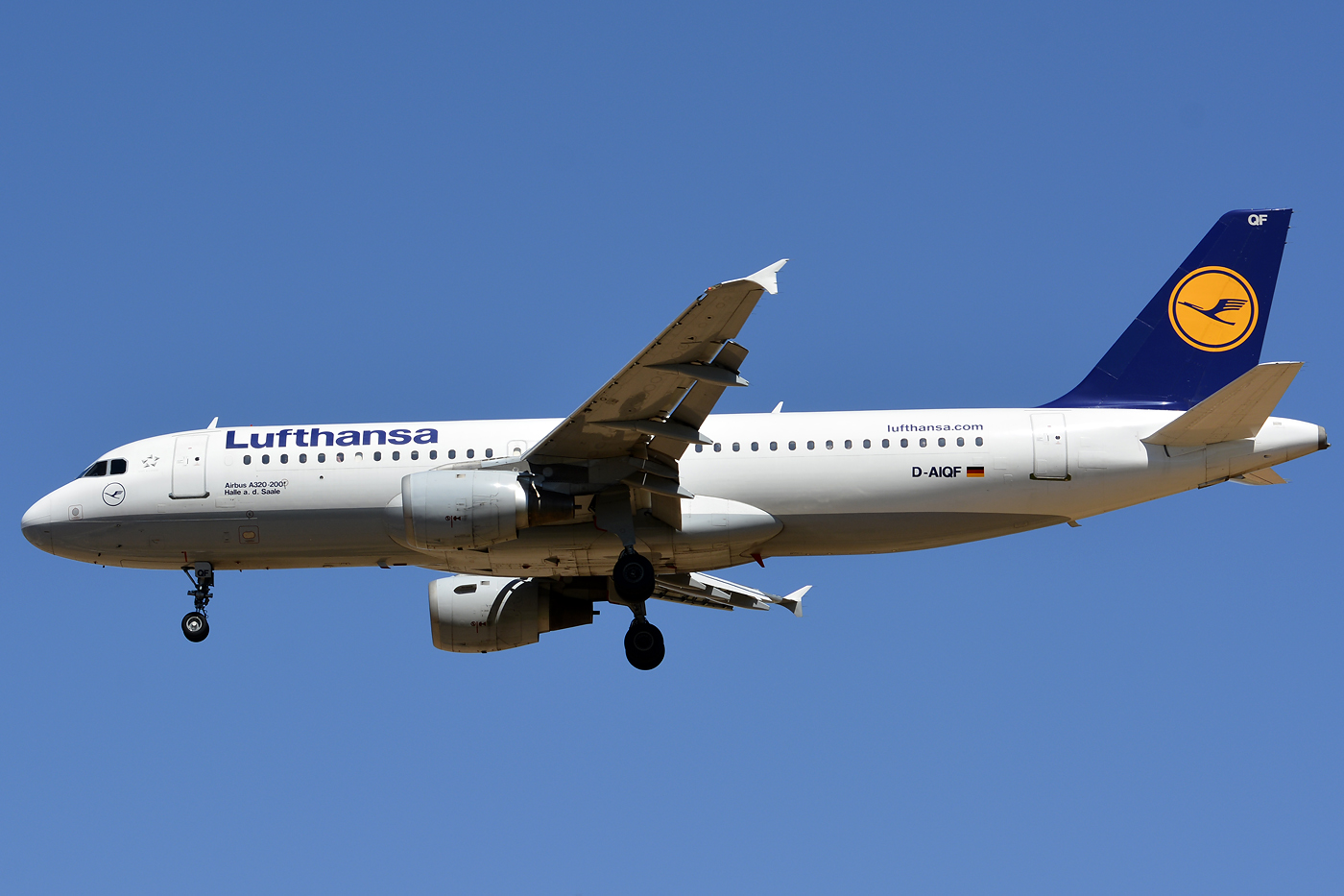 D-AIQF (216) 1991 Airbus A320-211