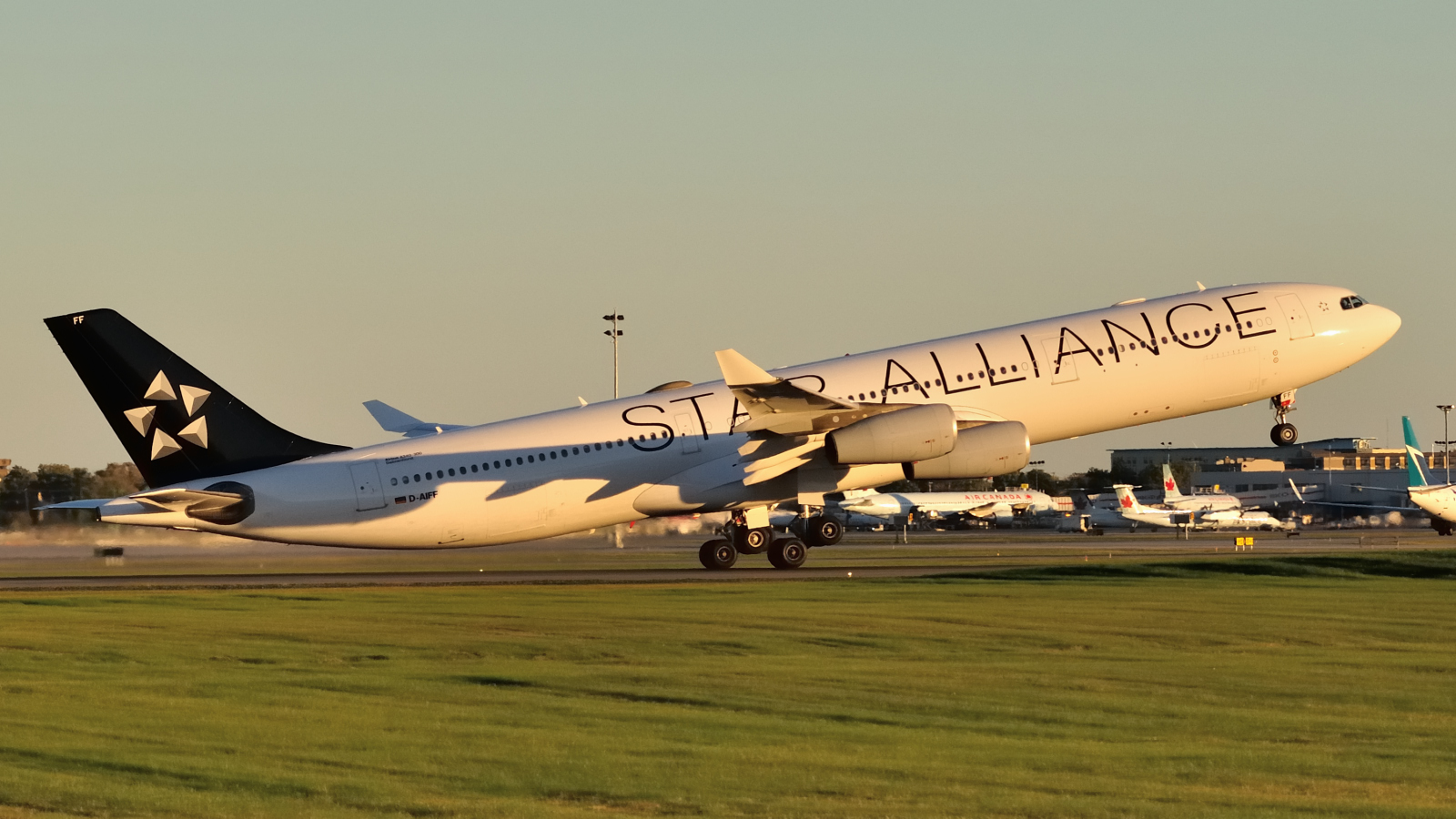 D-AIFF (447) 2001 Airbus A340-313
