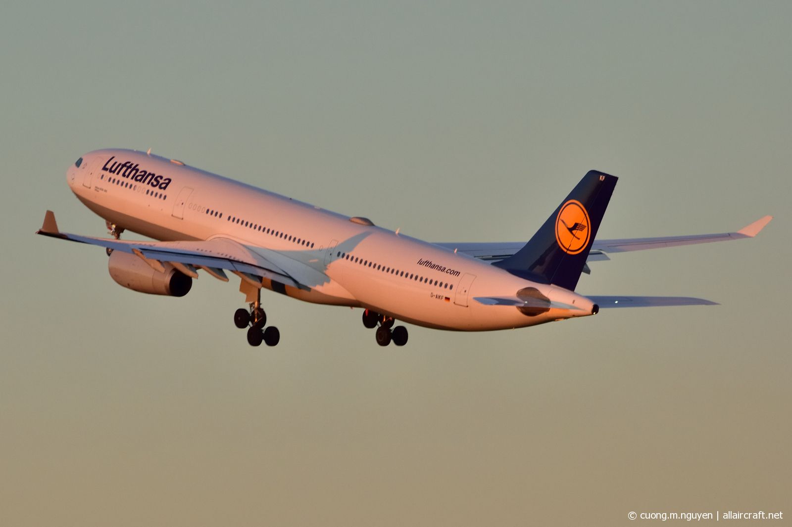 D-AIKF (642) 2004 Airbus A330-343