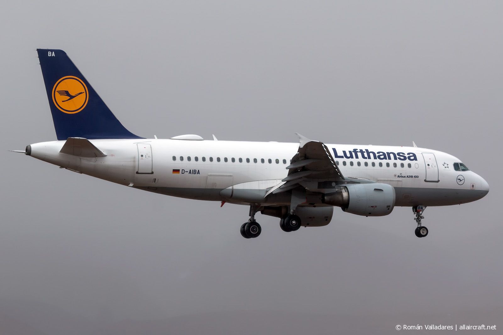 D-AIBA (4141) 2009 Airbus A319-112