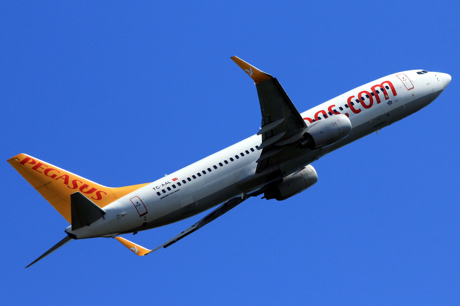 TC-AAL (35984) 2009 Boeing 737-82R WL