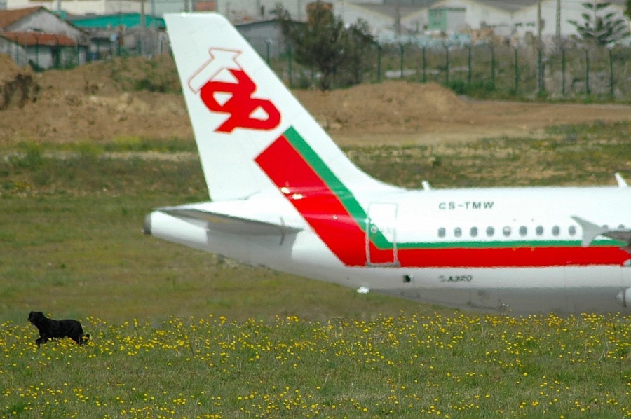 CS-TMW (1667) 2001 Airbus A320-214
