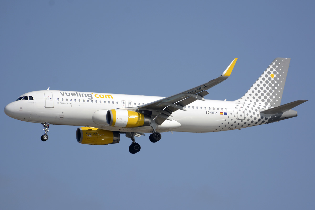 EC-MDZ (6377) 2014 Airbus A320-232(WL)
