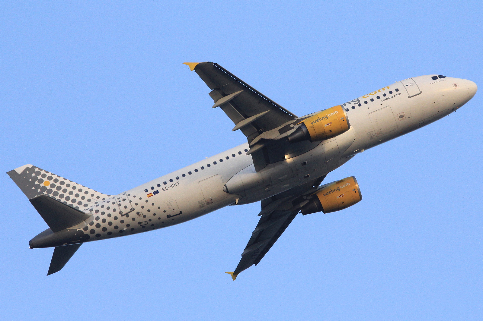 EC-KKT (3293) 2007 Airbus A320-214