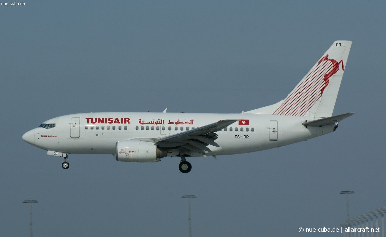TS-IOR (29502) 2001 Boeing 737-6H3