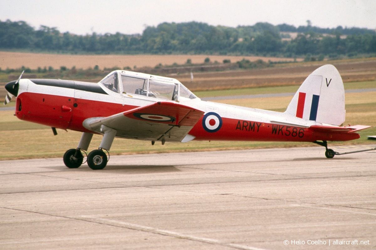 G-BXGX / WK586 1952 DeHavilland DHC-1 Chipmunk T.10