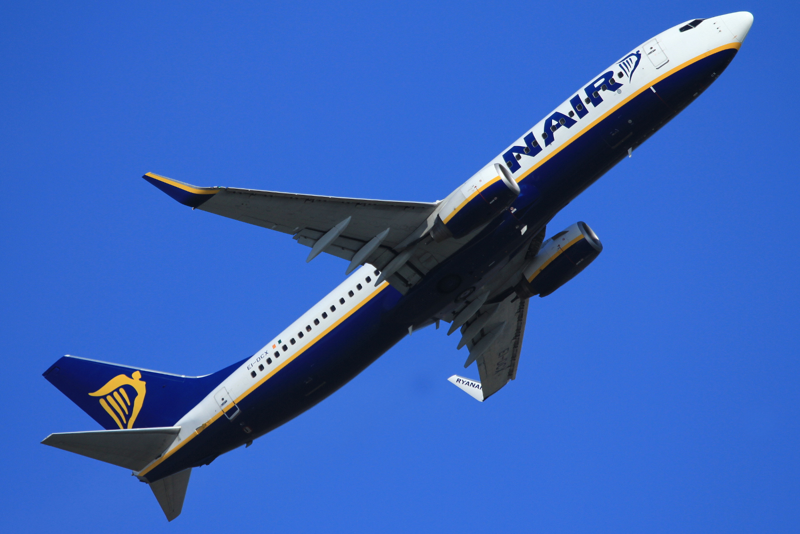 EI-DCX (33569) 2005 Boeing 737-8AS WL