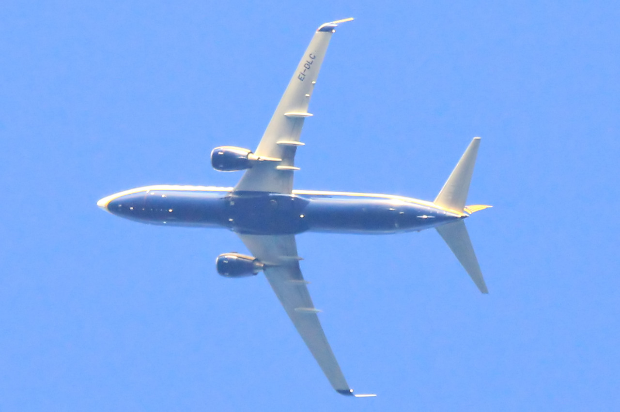 EI-DLC (33586) 2005 Boeing 737-8AS(WL)