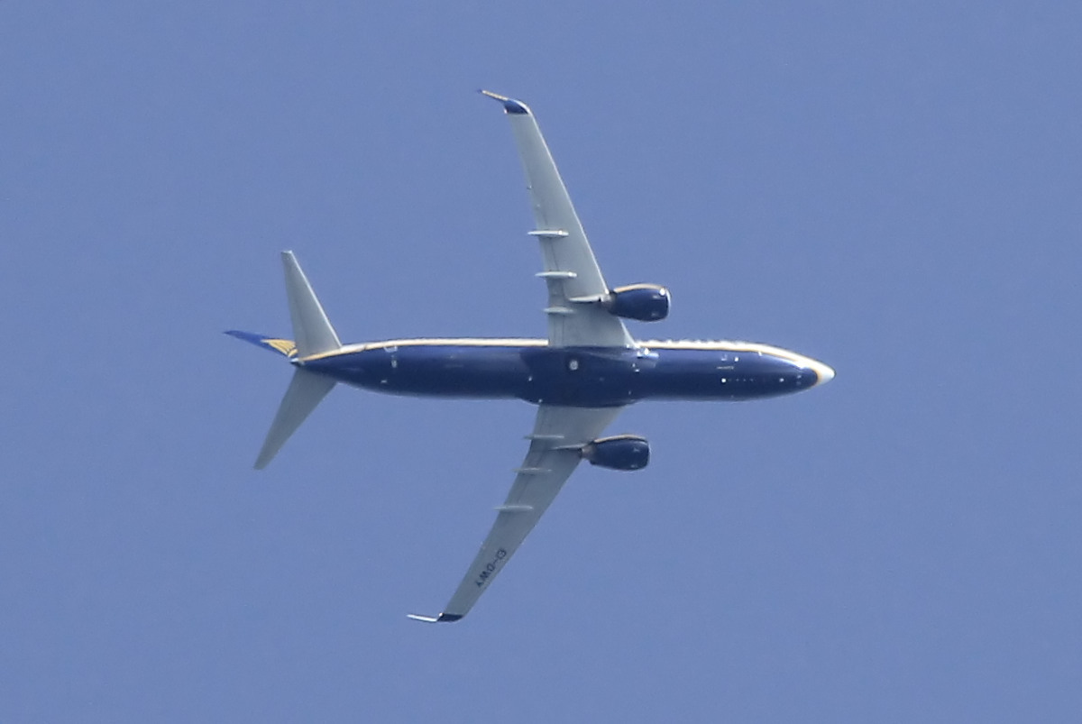 EI-DWY (33638) 2008 Boeing 737-8AS(WL)