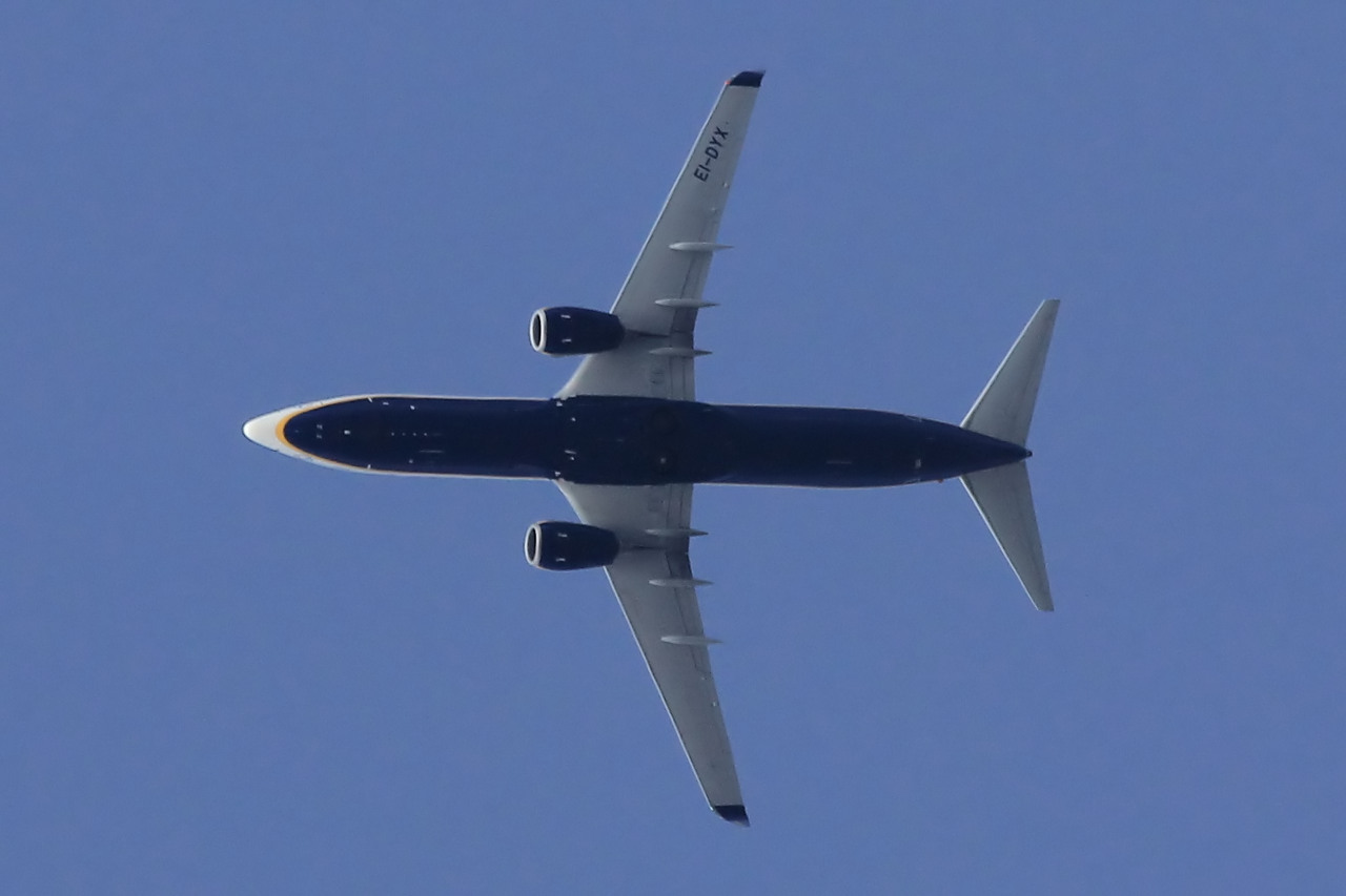 EI-DYX (37517) 2008 Boeing 737-8AS(WL)