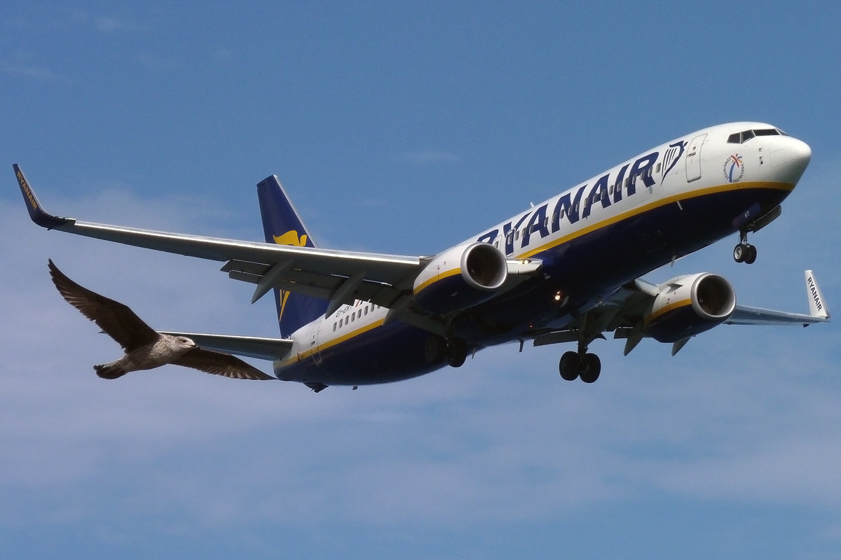 EI-EKT (38505) 2010 Boeing 737-8AS(WL)