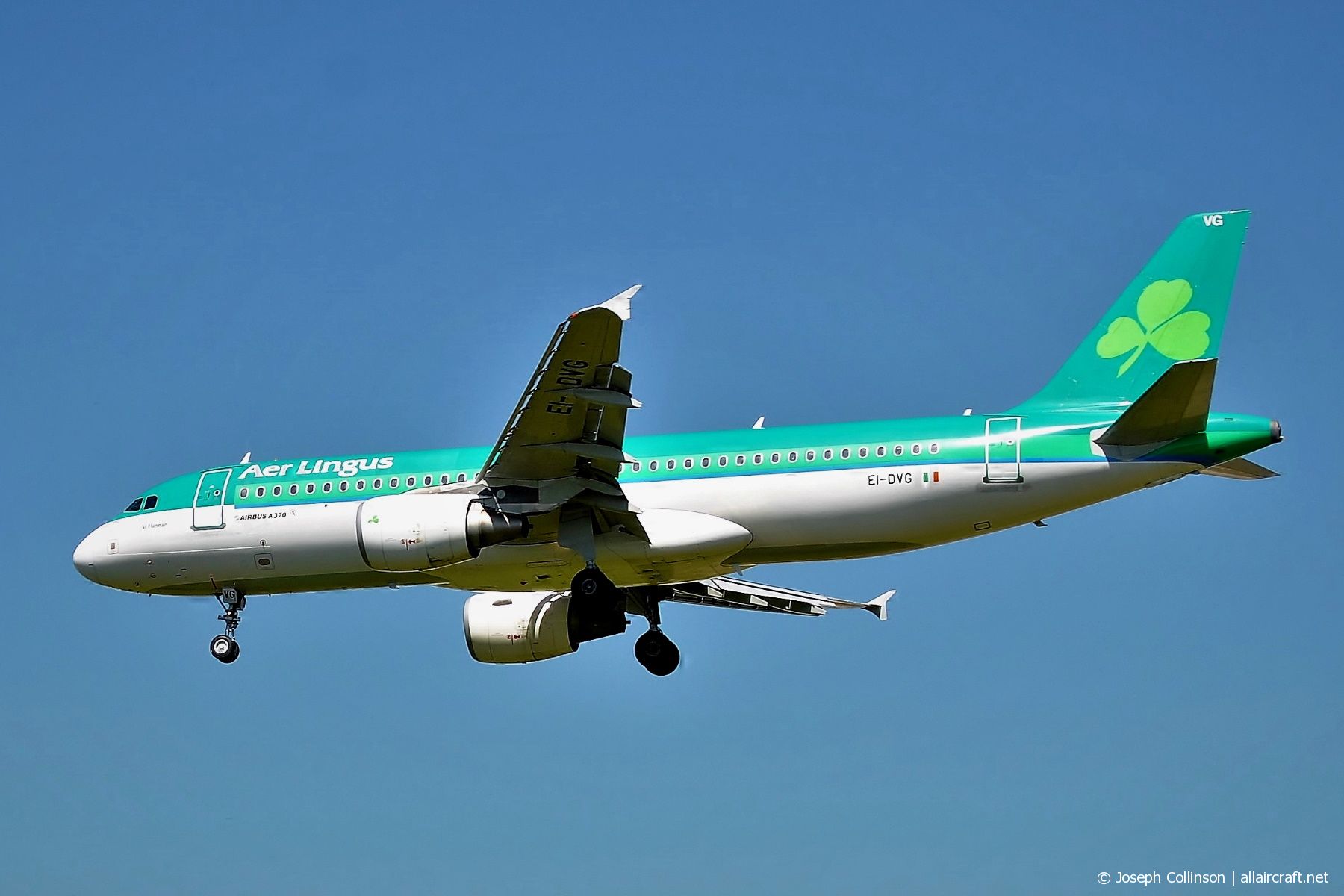 EI-DVG (3318) 2007 Airbus A320-214