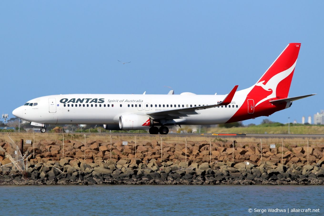 VH-XZG (39371) 2013 Boeing 737-838(WL)