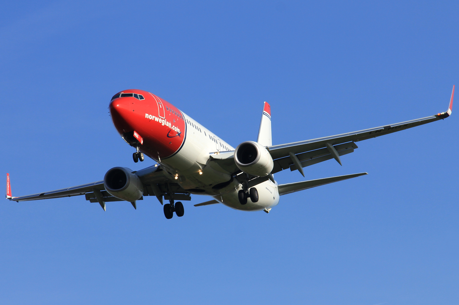 LN-NGX (29033) 2014 Boeing 737-8JP WL