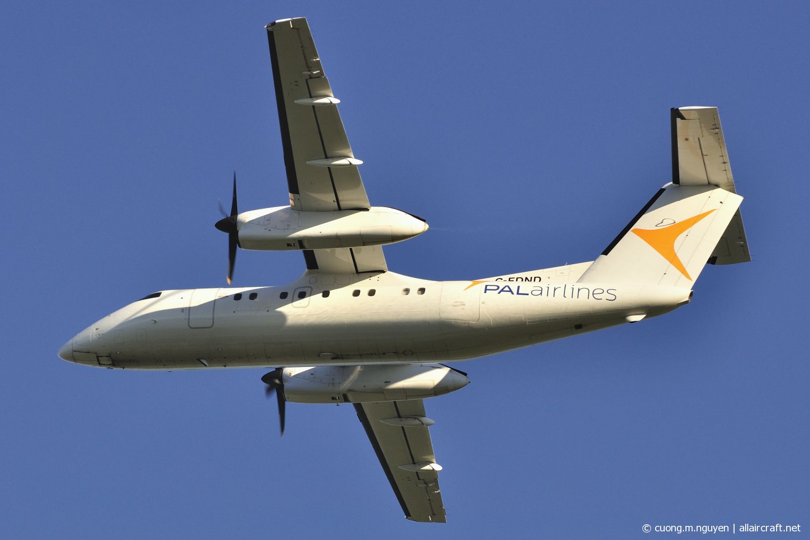 C-FDND (129) 1988 Bombardier Dash 8-102
