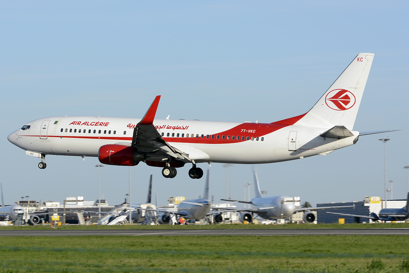 7T-VKC (cn 34166) Boeing 737-8D6