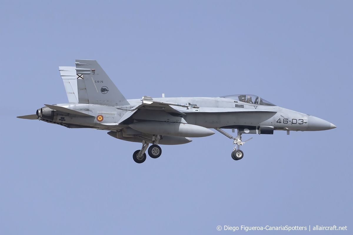 C.15-75 252/A201 McDonnell Douglas F/A-18A Hornet