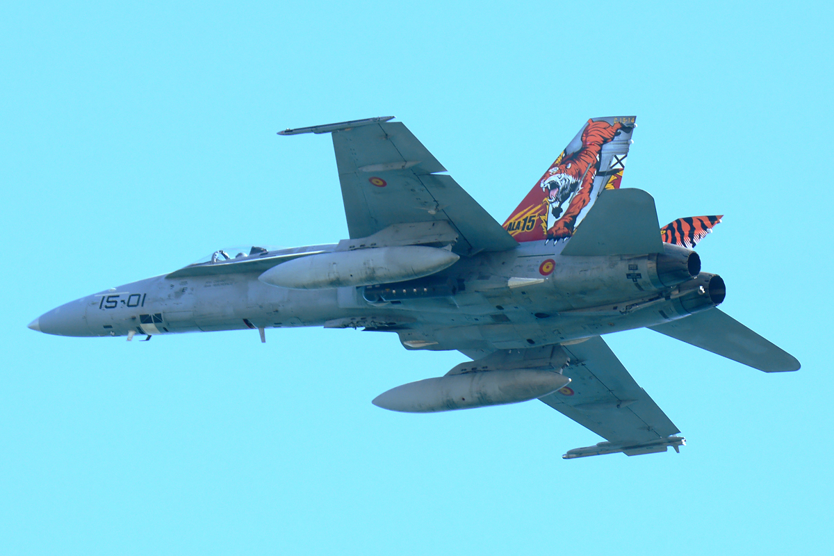 C.15-14 · McDonnell Douglas EF-18A Hornet · (LPA / GCLP)