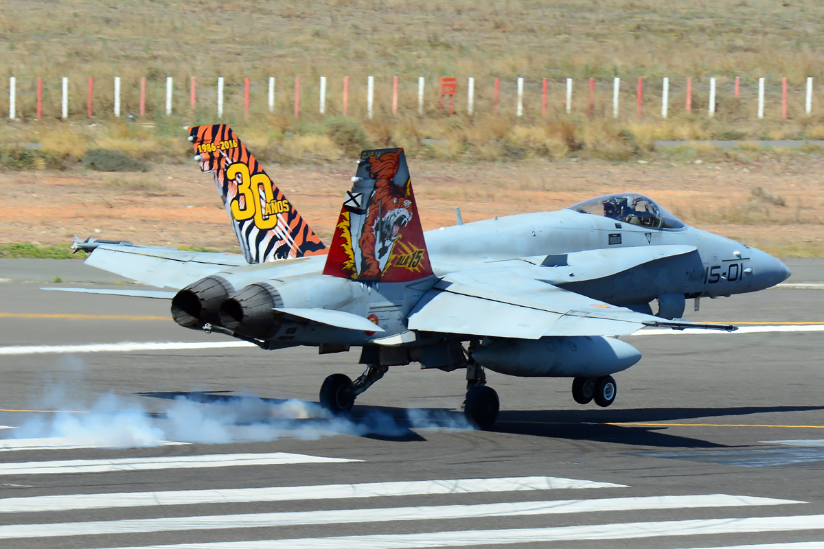 C.15-14 · McDonnell Douglas EF-18A Hornet · (LPA / GCLP)