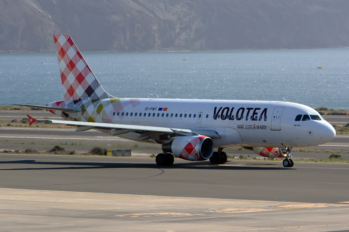 EI-FMT (2113) 2004 Airbus A319-112