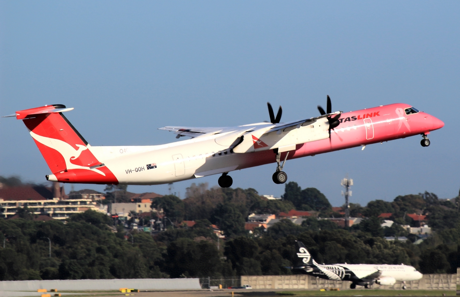 VH-QOH · Bombardier Dash 8-Q402 · (SYD / YSSY)