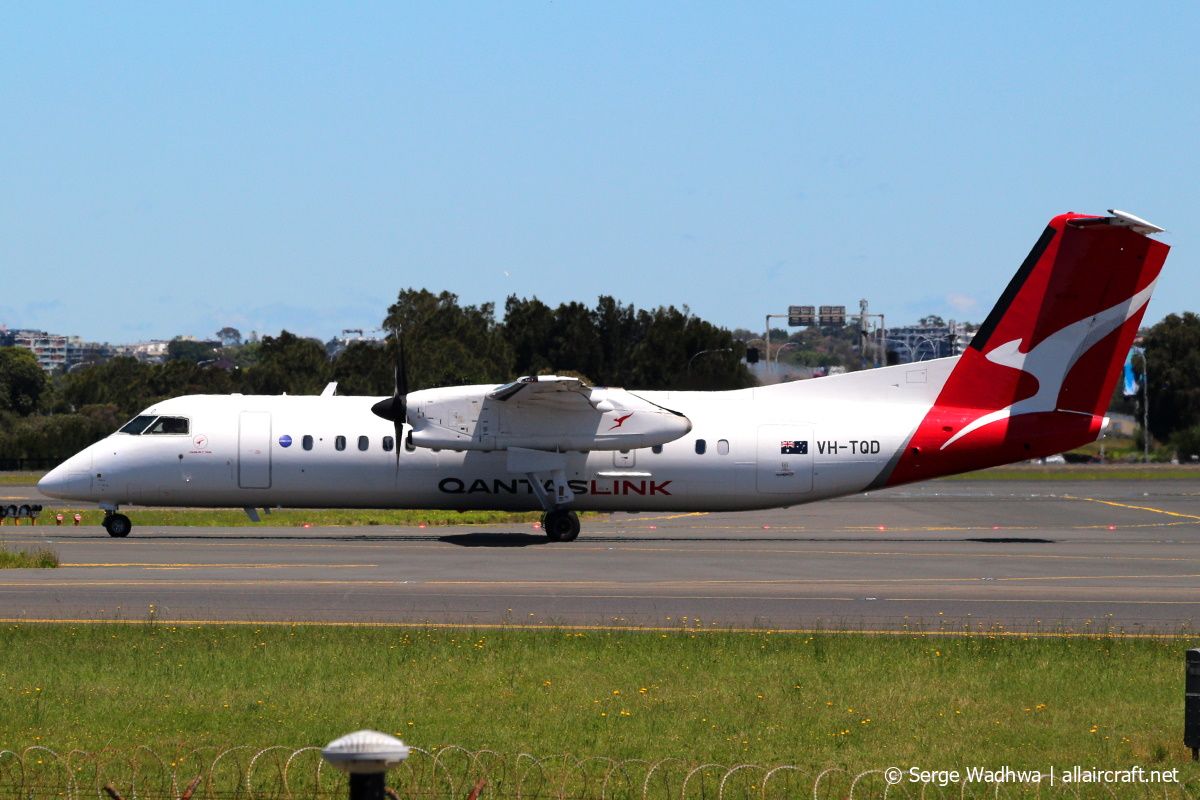 VH-TQD (598) 2003 Bombardier Dash 8-Q315