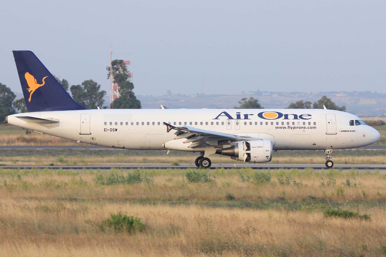 EI-DSW (3609) 2008 Airbus A320-216