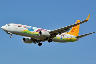TC-CPN (40013) 2015 Boeing 737-82R WL