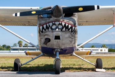 EC-FOO (17271847) Cessna 172N Skyhawk