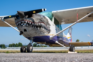 EC-FOO (17271847) Cessna 172N Skyhawk