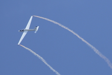 SP-8000 (P-11) Marganski MDM-1 Solo Fox