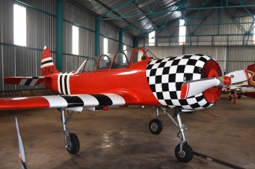 ZU-EWJ (855406) 1985 Yakovlev Yak-52