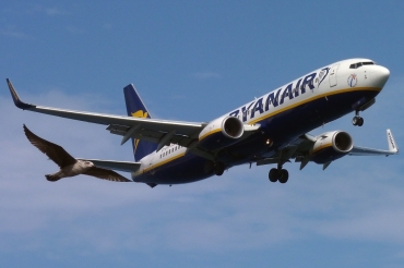 EI-EKT (38505) 2010 Boeing 737-8AS(WL)
