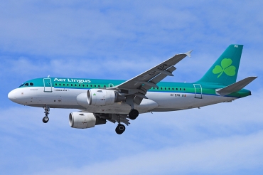 EI-EPR (3169) 2007 Airbus A319-11