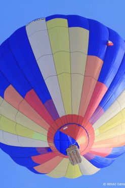 SP-BDW Libert L-3000