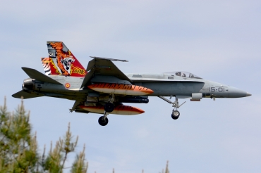 C.15-14 / 15-01 McDonnell Douglas EF-18A Hornet