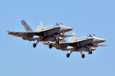 C.15-44 (718/A553) McDonnell Douglas EF-18A+ Hornet