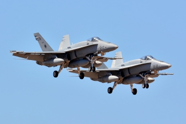 C.15-44 (718/A553) McDonnell Douglas EF-18A+ Hornet