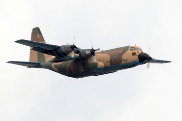 T.10-08 / 31-05 1979 Lockheed C-130H Hercules