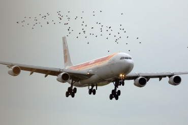 EC-GUQ, (cn 221), Airbus A340-313