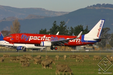ZK-PBB (33797) 2003 Boeing 737-8FE WL