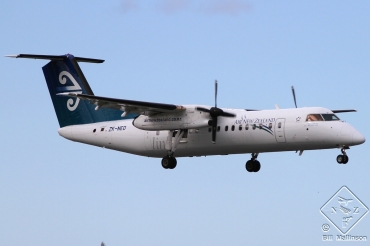 ZK-NED (cn 00617) Dash 8-Q311