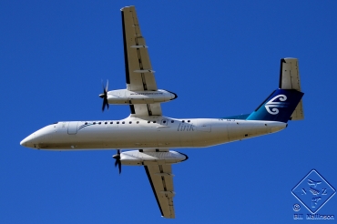 ZK-NEJ (cn 00625) Dash 8-Q311