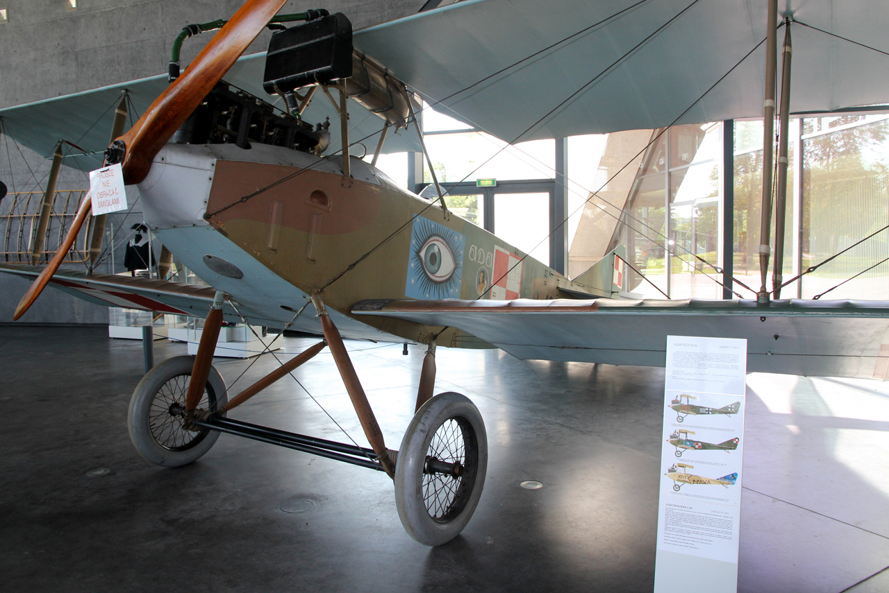 1302/17 (10019) 1919 Albatros Flugzeugbau B.IIa