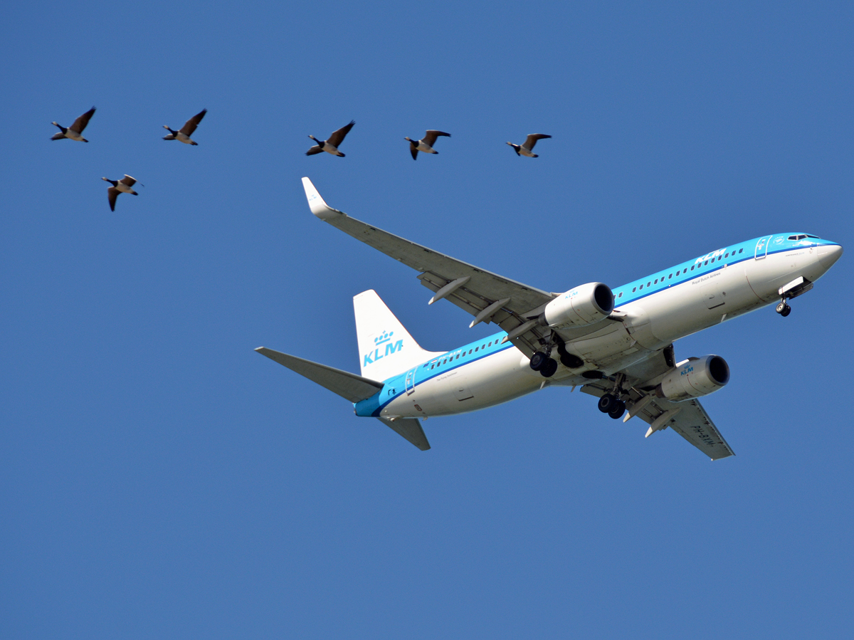PH-BXM (30355) 2000 Boeing 737-8K2(WL)