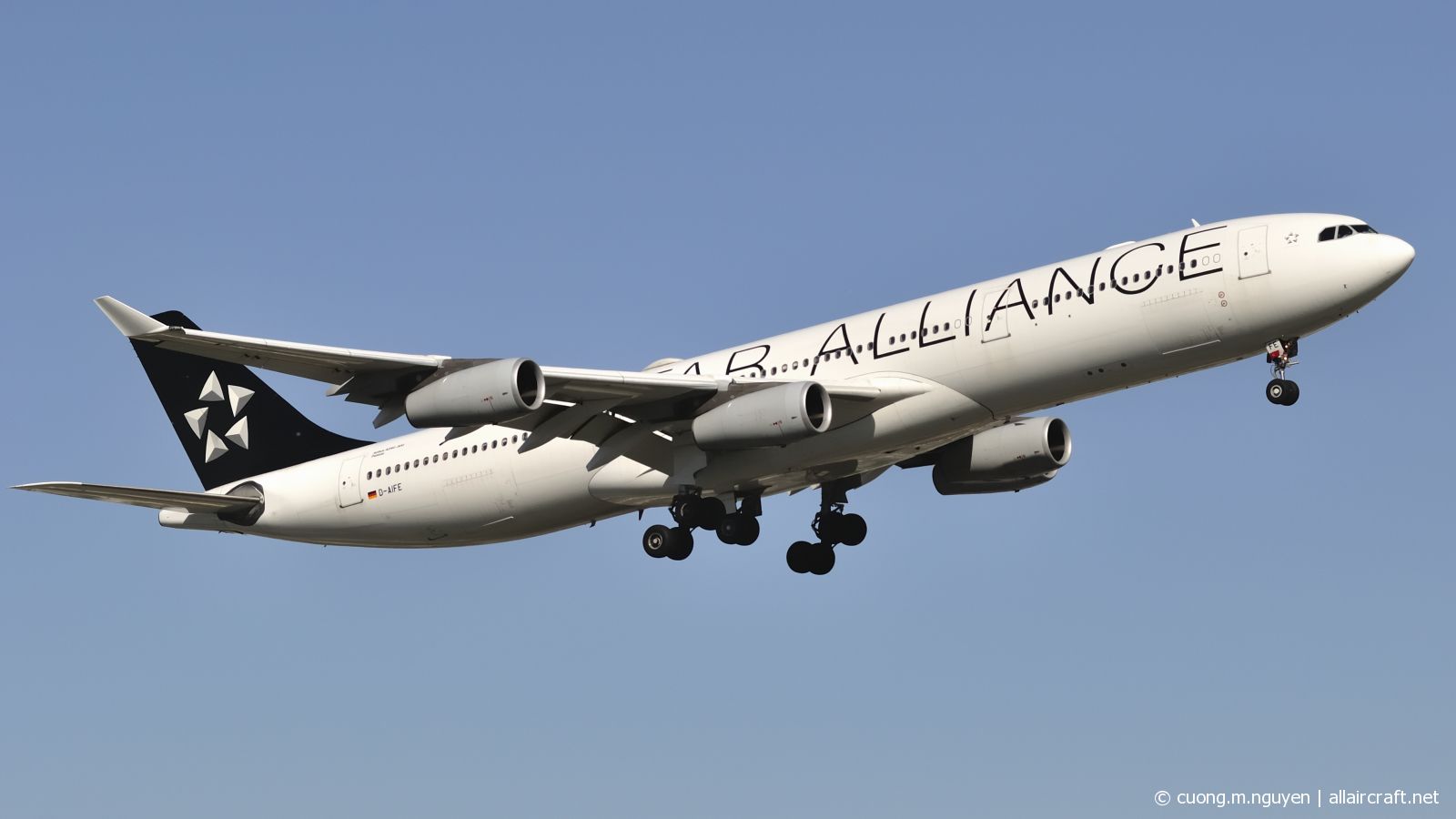 D-AIFE (434) 2001 Airbus A340-313