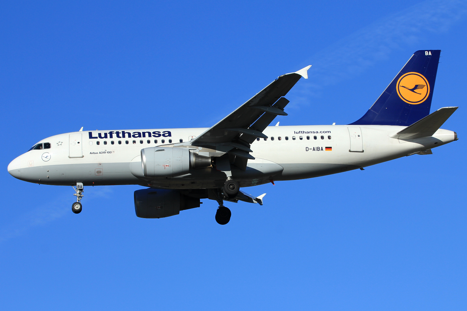 D-AIBA (4141) 2009 Airbus A319-112