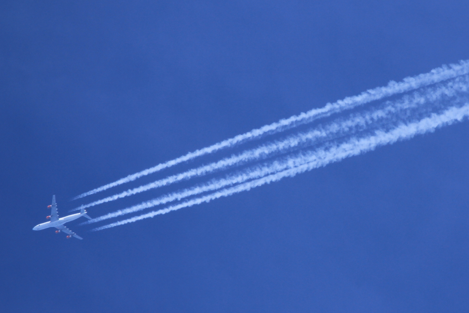 OY-KBM (450) 2002 Airbus A340-313X