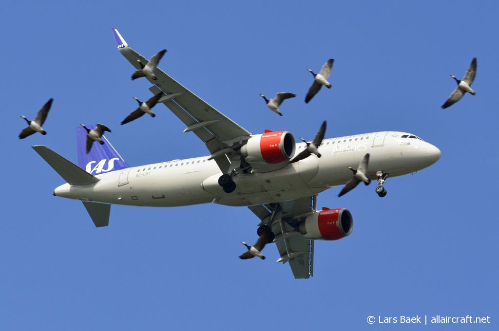 SE-DOY (7499) 2017 Airbus A320-251N